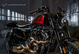 Harley-Davidson Sportster Roadster Metal Snake - a candidata