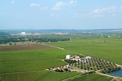 Cidade Europeia do Vinho 2015 promove formação para profissionais de hotelaria e restauração