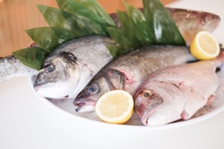 SushiCorner apresenta opção “Peixe do Dia”