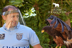 Passatempo: Ganhe bilhetes para o Jardim Zoológico com a PSP