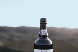 Borges Soalheira Porto Vintage 2017 - PVP 44,00€