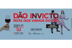 Dão Invicto regressa ao WoW para um fim de semana de provas