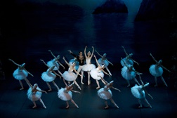 O Lago dos Cisnes - DR