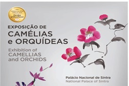 Exposição de Camélias e Orquídeas no Palácio Nacional de Sintra
