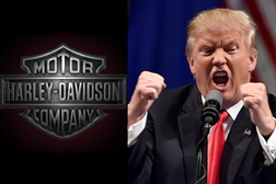 Harley vs Trump uma novela económica!