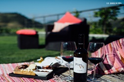 Quinta do Pôpa actualiza o cardápio enoturístico com ‘Pic-nic Premium’