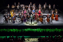 Coliseu do Porto recebe Orquestra Metropolitana de Lisboa para Concerto de Ano Novo