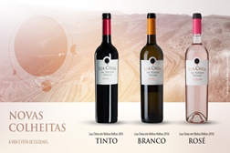 Novas Colheitas Lua Cheia em Vinhas Velha