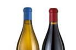 Ontem: O novo projeto dos Vinhos Conceito