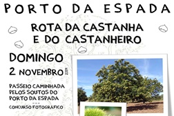 Rota da Castanha e do Castanehiro - Marvão - 2 de novembro - Passeio Pedestre seguido de um magusto no campo