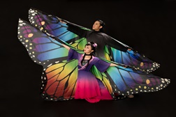 Museu do Oriente apresenta "Butterfly Lovers"