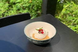 Gelado Yuzu