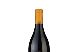 Quinta dos Roques