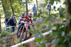FMP prepara ISDE