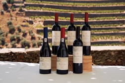 Quinta da Boavista apresenta os vinhos de 2017