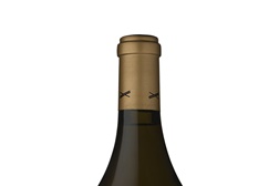 Teixuga Branco 2013