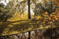 Visita Sazonal de Outono ao Parque de Serralves