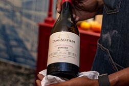 Quinta Dona Matilde lança tinto de Vinhas Velhas e reedita o Reserva branco das carismáticas vinhas de baixa altitude