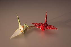Workshop de origami no Museu do Oriente