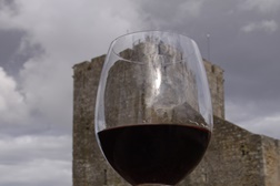 Vinhos de Palmela em destaque no programa “Viagens de Baco”