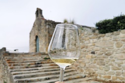 Vinhos à Capela - 1.ª edição em Vila do Conde