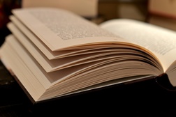 Música e livros no Jardim do Príncipe Real em apoio ao Conservatório Nacional