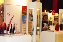Concurso internacional de vinho “La selezion del sindaco” realizado em Ilália atribui medalha de ouro e duas de prata a produtores do concelho de Nelas