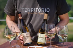 Festa do Alvarinho e do Fumeiro de Melgaço 2021