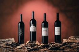Symington anuncia o lançamento dos seus Portos Vintage de Quinta de 2023 - Serão engarrafados em maio e estarão disponíveis a partir de meados de junho