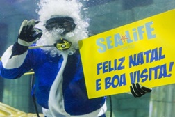 Pai Natal dos Oceanos cumpre tradição e mergulha no SEA LIFE Porto
