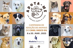 MadeiraShopping promove campanha de adoção de animais