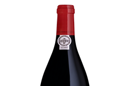 Nicolau de Almeida lança Quinta do Monte Xisto 2018
