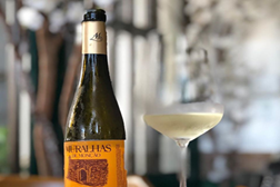 Vinhos da Adega de Monção à distância de um clique