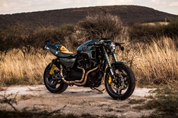 Apex Predator é coroada vencedora do concurso “King of Kings” da Harley-Davidson