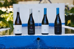 Monte da Bica: a adega boutique de vinhos irreverentes - E que quer ser o novo destino imperdível do Alentejo