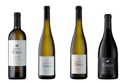 Quinta do Síbio: Do vale do Roncão e do planalto de Alijó nascem novos vinhos da Real Companhia Velha