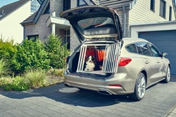 1 em cada 3 Condutores com cães colocam em risco a sua segurança dentro do carro - Estudo da Ford sobre o comportamento