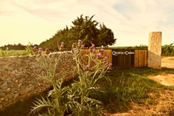 Quinta do Cardo