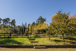 Serralves torna-se membro da Climate Change Alliance of Botanic Gardens