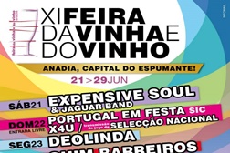 Feira da Vinha e do Vinho de Anadia foi um sucesso