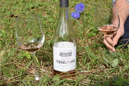 Um brinde ao amor com Terras de Lava Rosé 2020