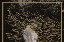 Forest Swords no MusicBox dia 6 de Maio