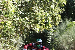 Pedro Bianchi Prata
