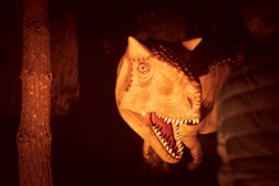 Dino Parque promete o Halloween mais jurássico de Portugal