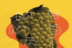 Melgaço quer criar Museu de Arte ao Ar Livre sobre o vinho e a vinha