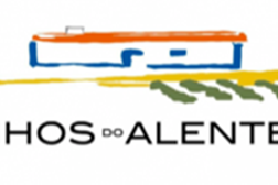 Alentejo já começou as vindimas e espera aumentar 5% a produção