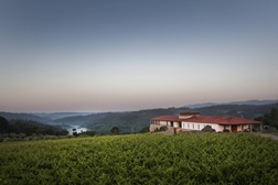 Prémios para Quinta de Lemos mostram a consistência dos seus vinhos a nível internacional