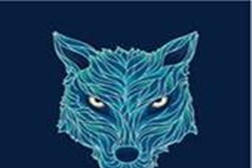 Festa da Cerveja Loba e concerto dos FUGLY no Plano B - Entrada livre