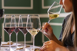 Escola de Vinho do WOW lança Summer Wine School