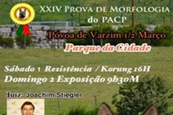 Pastor Alemão Clube de Portugal promove prova no Parque da Cidade da Póvoa de Varzim